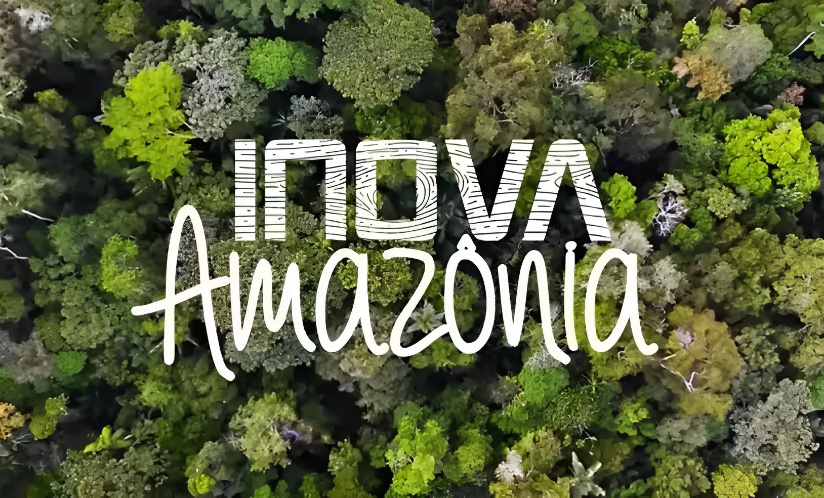 Inova Amazônia: programa seleciona ideias de negócio relacionados à bioeconomia