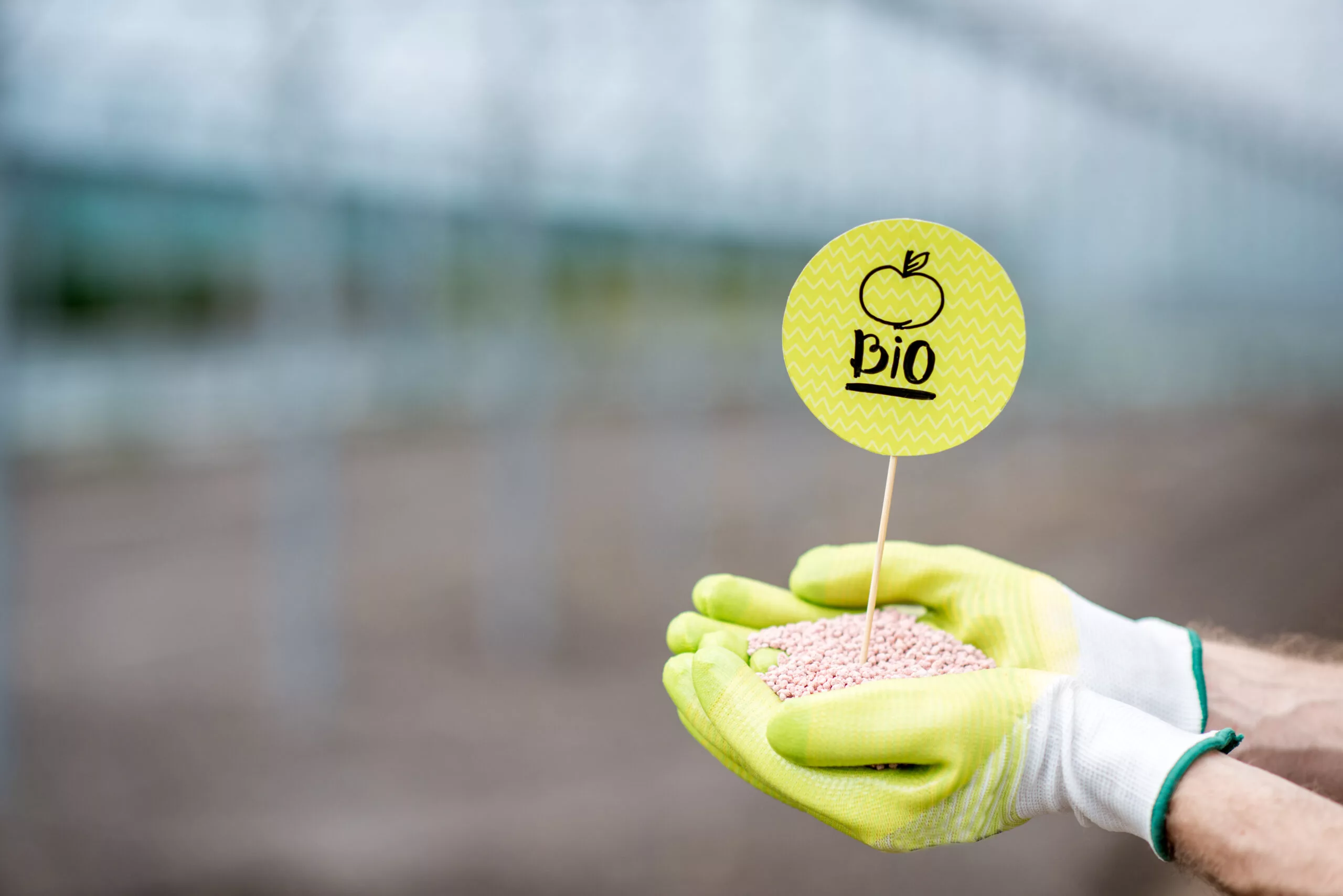 Farmer holding bio fertilizers with green plate in the glasshouse, close-up view