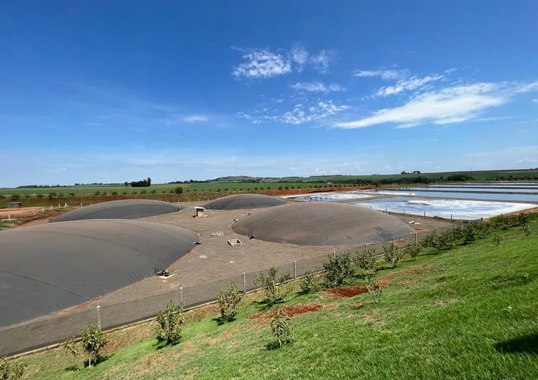 Saiba mais sobre a biomassa utilizada para gerar energia elétrica