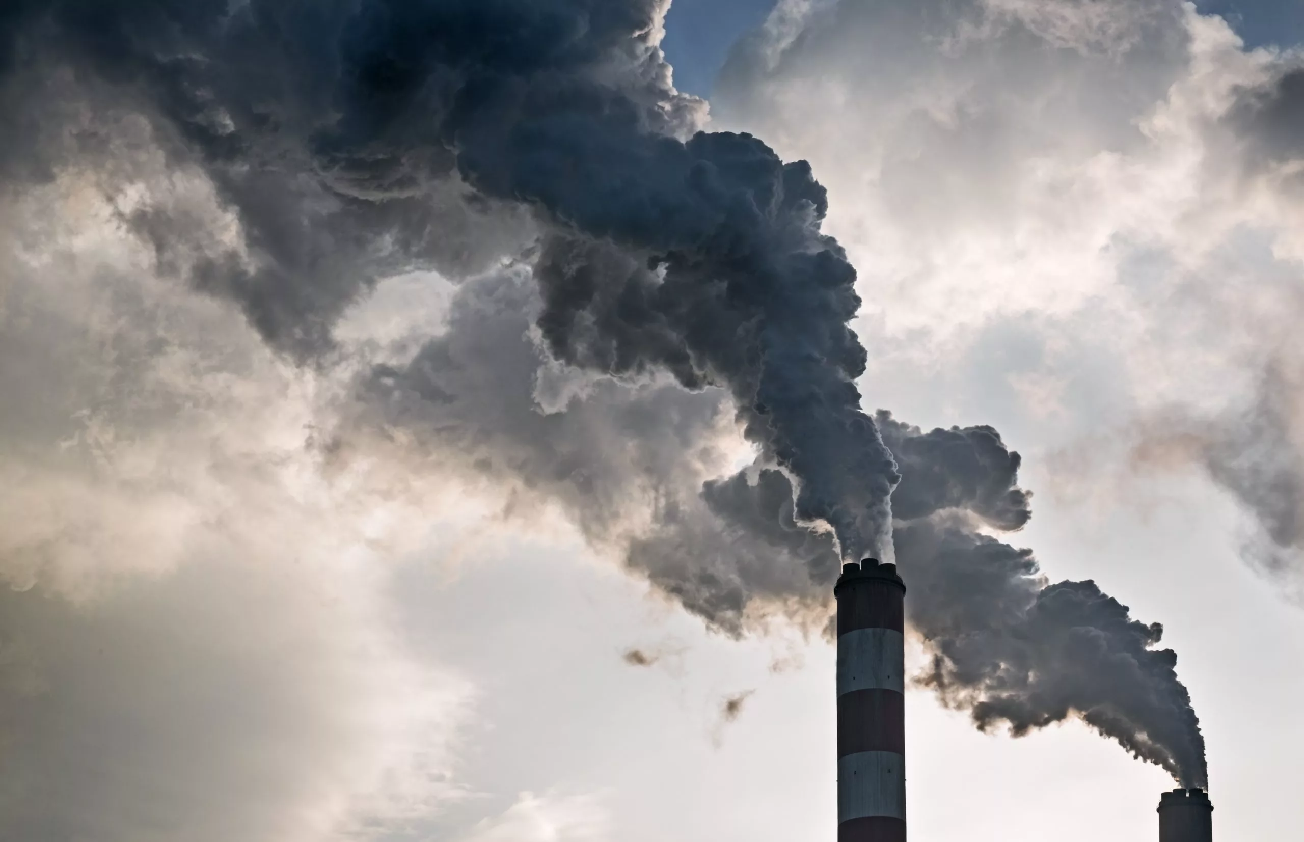 USDA Releases Assessment on Agriculture and Forestry in Carbon Markets