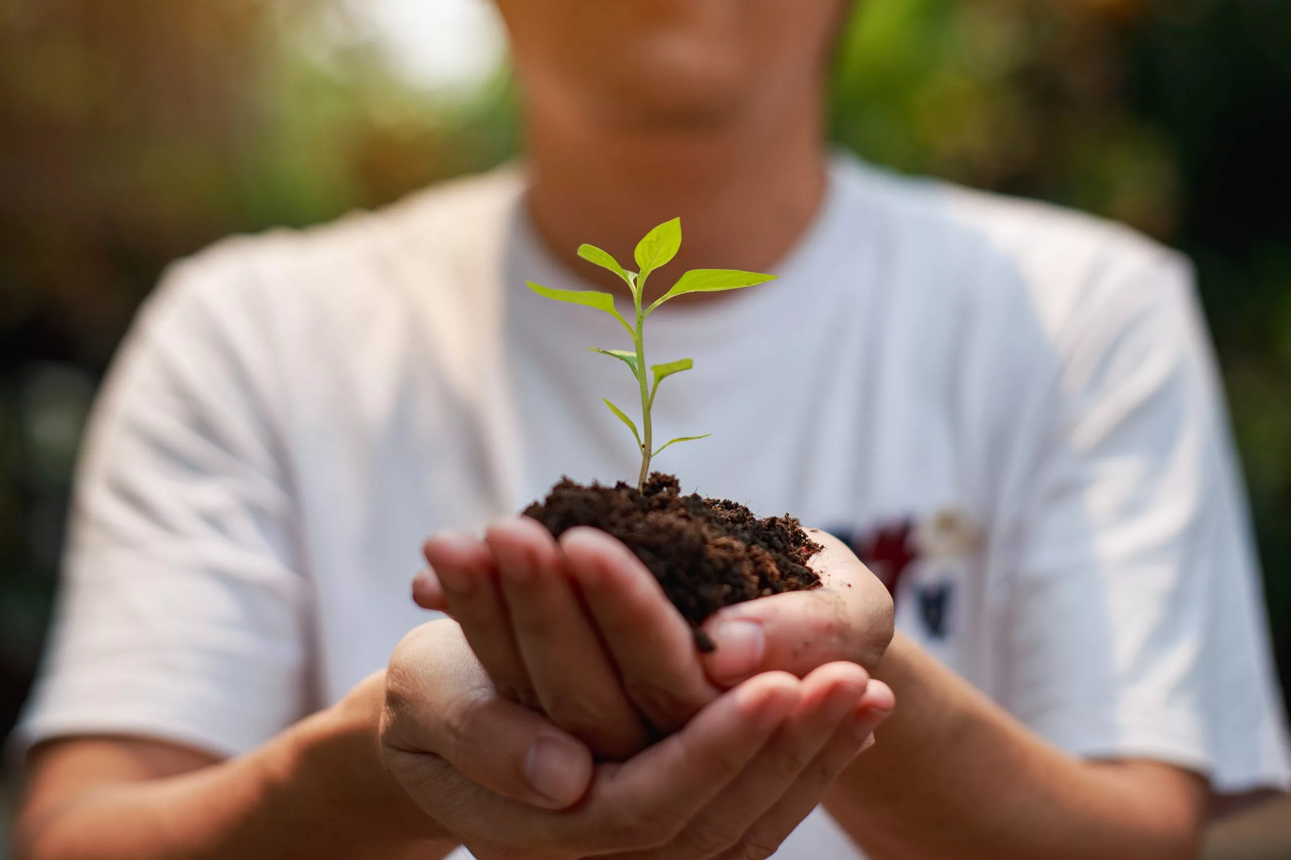 Qual o papel do agro no combate às mudanças climáticas?