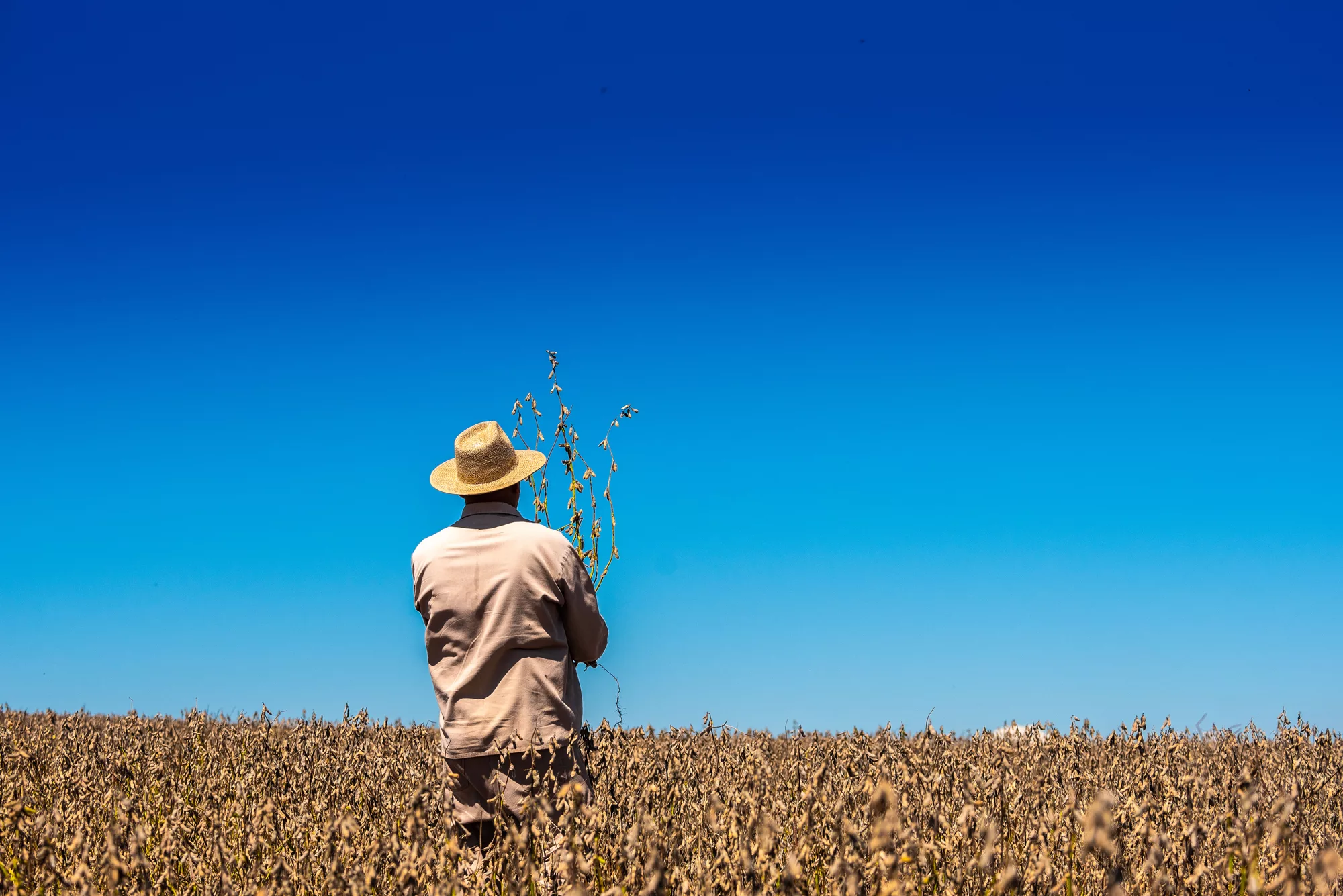 Projeto orienta produtor na regularização ambiental e cumprimento de boas práticas